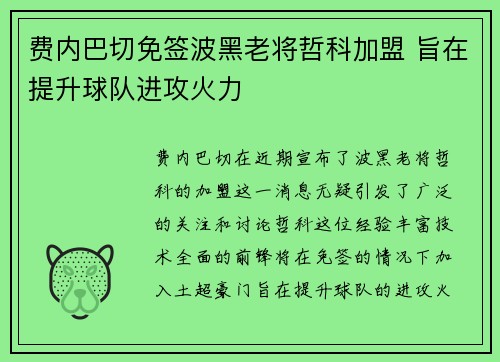 费内巴切免签波黑老将哲科加盟 旨在提升球队进攻火力